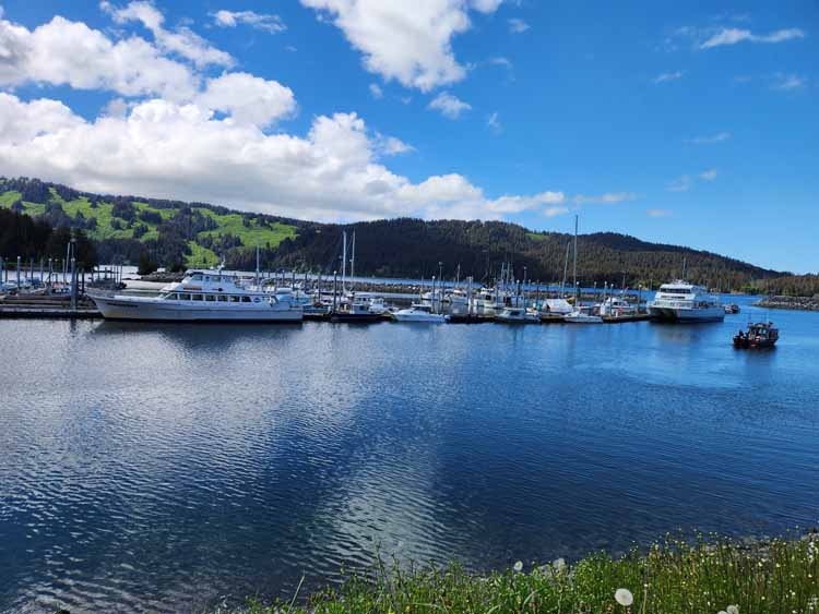 seldovia
